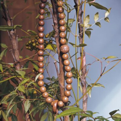 Herbal Bracelet - Imperial Ambergris Fragrance