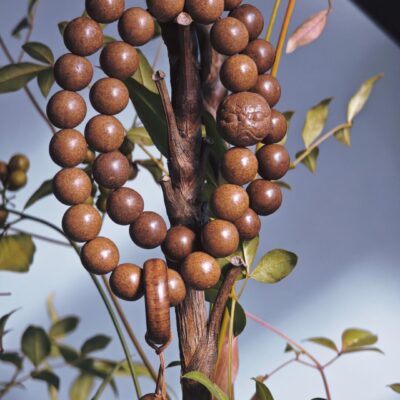 Herbal Bracelet - Imperial Ambergris Fragrance