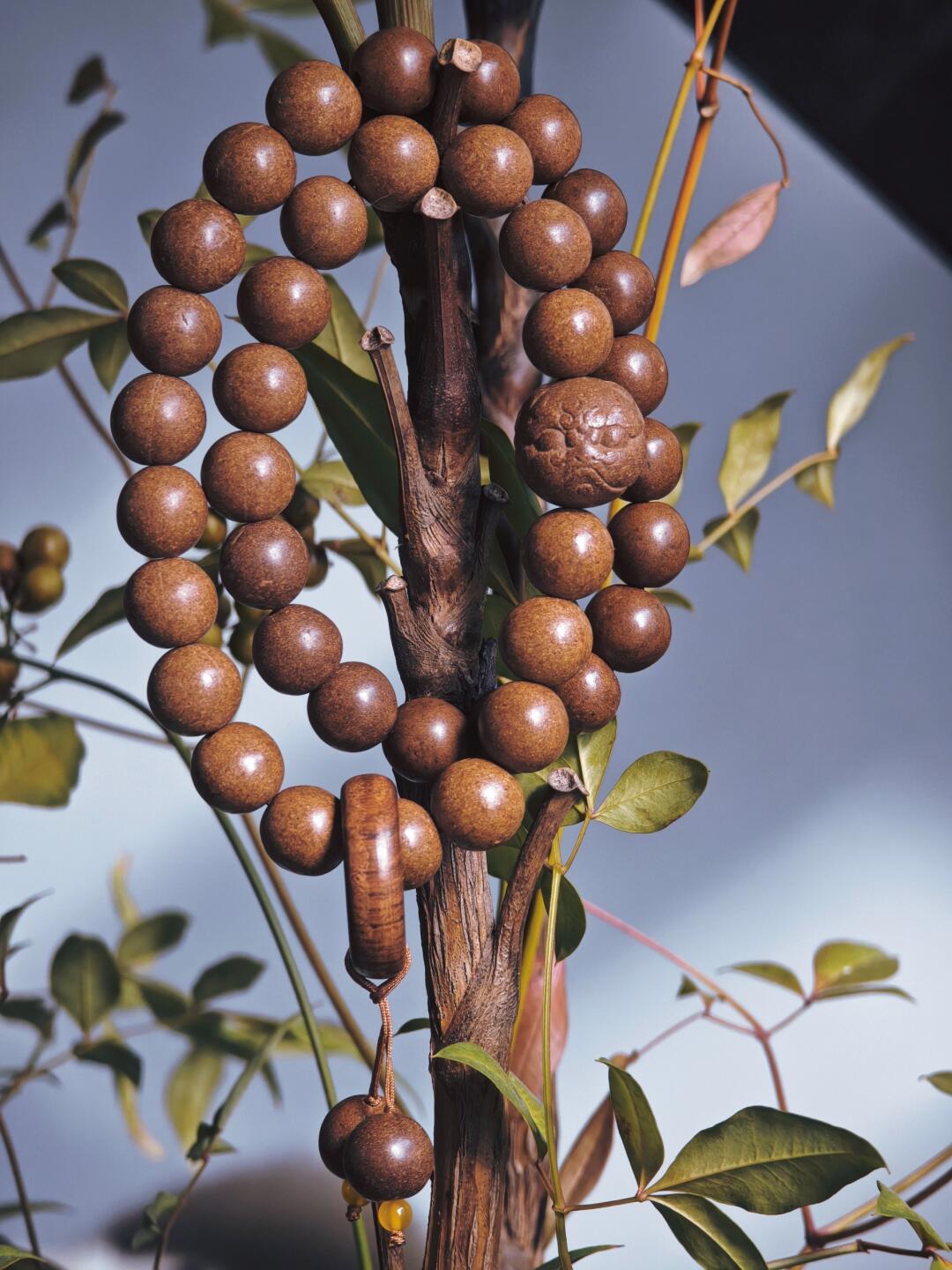 Herbal Bracelet - Imperial Ambergris Fragrance